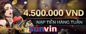 sunvin