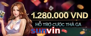 sunvin