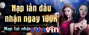 sunvin