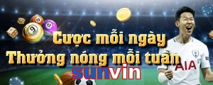 sunvin